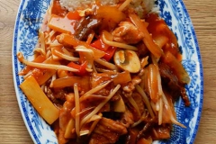 panda-asia-imbiss-gericht1
